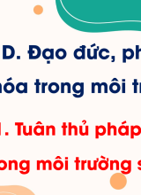 Chủ đề D - Bài 1. Tuân thủ pháp luật trong môi trường số